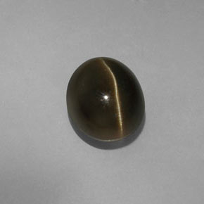 5.70캐럿 천연 골든 그린 Cat's Eye Apatite, 타원형 컷, 10.7×8.8 mm, 투명한