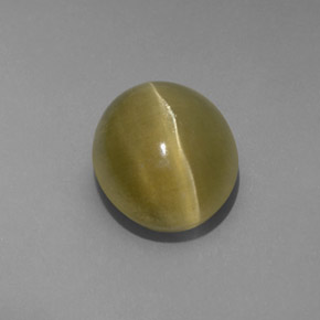 4.80캐럿 천연 그린 Cat's Eye Apatite, 투명한, 10.6×8.9 mm, 투명/반투명