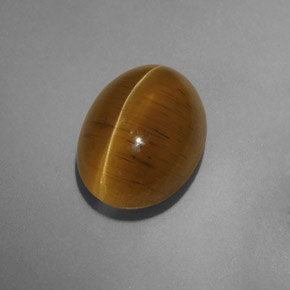 9.54캐럿 천연 녹빛 골든 Cat's Eye Apatite, 투명한, 14.4×10.5 mm, 투명/반투명