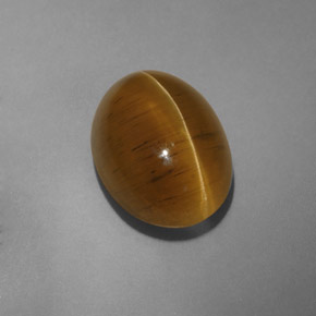 9.54캐럿 천연 녹빛 골든 Cat's Eye Apatite, 투명한, 14.4×10.5 mm, 투명/반투명