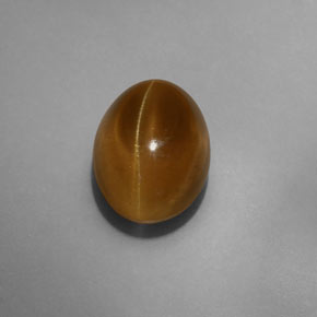 7.75캐럿 천연 녹색 황금 캣츠아이 아파타이트, 투명한, 투명/반투명