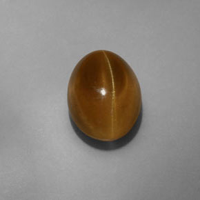 7.75캐럿 천연 녹색 황금 캣츠아이 아파타이트, 투명한, 투명/반투명