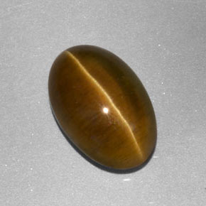3.86캐럿 천연 녹빛 골든 Cat's Eye Apatite, 투명한, 11.3×7.5 mm, 투명/반투명