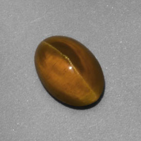 2.02캐럿 천연 녹빛 골든 Cat's Eye Apatite, 투명한, 8.3×5.9 mm, 투명/반투명