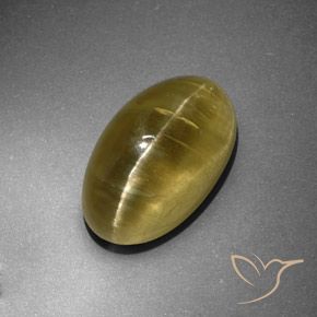 12.95ct 자연스러운 흙빛 노란색 캣츠아이 아파타이트, 타원형, 투명한