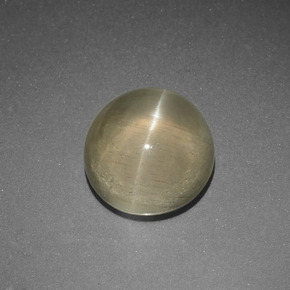 5.65캐럿 천연 연두색 캣츠아이 아파타이트, 라운드 컷, 투명한