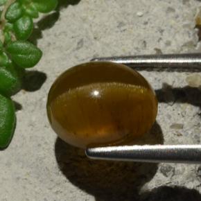 3.16캐럿 천연 주황색 캣츠아이 아파타이트, 타원형 컷, 투명한