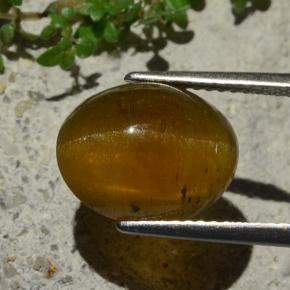 5.80캐럿 천연 미디엄 브라운 캣츠아이 아파타이트, 타원형 컷, 투명한