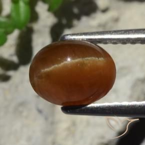 2.05캐럿 천연 딥 브라운 Cat's Eye Apatite, 타원형 컷, 7.9×6.1 mm, 투명한