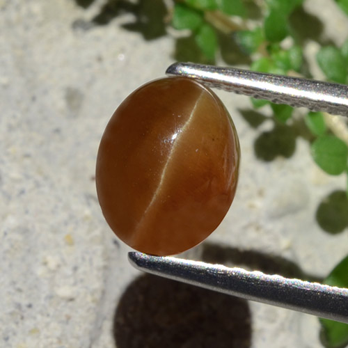 1.91캐럿 천연 진저브라운 Cat's Eye Apatite, 타원형 컷, 8×6.3 mm, 투명한