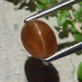 1.91캐럿 천연 진저브라운 Cat's Eye Apatite, 타원형 컷, 8×6.3 mm, 투명한