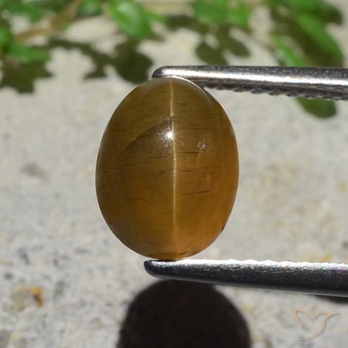 2.89ct 자연스러운 캐러멜 브라운 캣츠아이 아파타이트, 타원형, 투명한