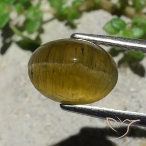 3.38캐럿 천연 흙빛 노란색 캣츠아이 아파타이트, 타원형 컷, 투명한