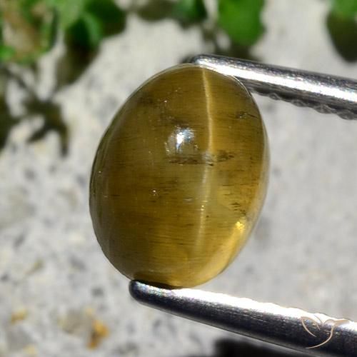 2.12ct 자연스러운 흙빛 노란색 캣츠아이 아파타이트, 타원형, 투명한