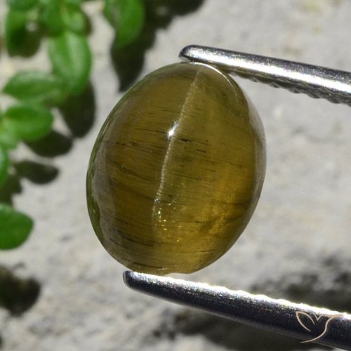 3.23ct 자연스러운 커피브라운 캣츠아이 아파타이트, 타원형, 투명한