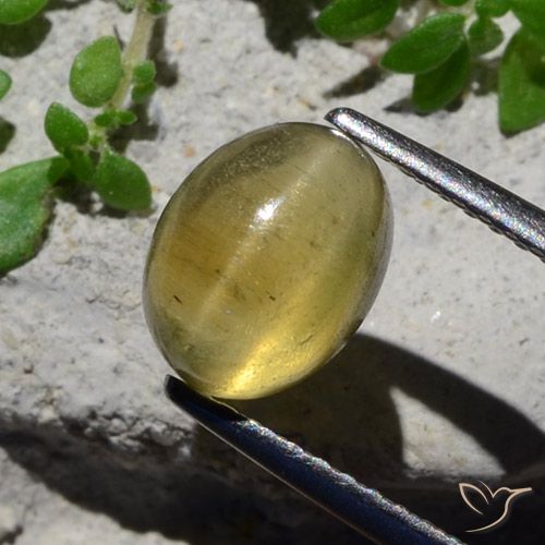 2.38ct 자연스러운 연노랑 캣츠아이 아파타이트, 타원형, 투명한