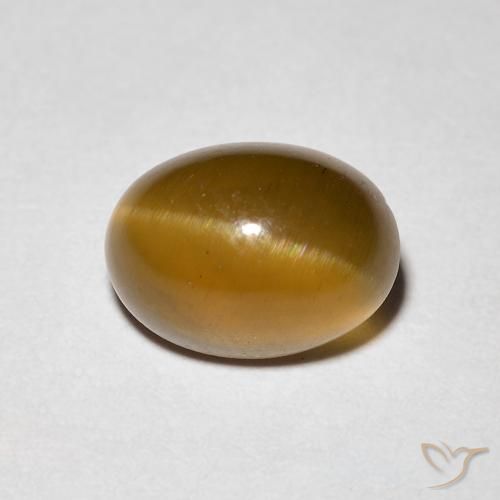 1.94ct 자연스러운 웜 브라운 캣츠아이 아파타이트, 타원형, 투명한