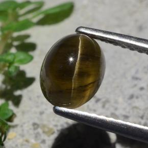 2.01캐럿 천연 미디엄 다크 브라운 캣츠아이 아파타이트, 타원형 컷, 투명한