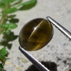 2.01캐럿 천연 미디엄 다크 브라운 캣츠아이 아파타이트, 타원형 컷, 투명한