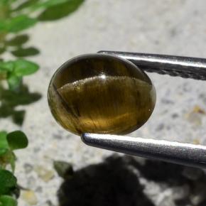 2.01캐럿 천연 미디엄 다크 브라운 캣츠아이 아파타이트, 타원형 컷, 투명한