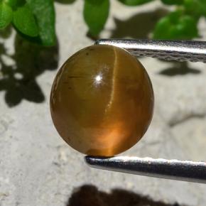 2.17캐럿 천연 주황색 캣츠아이 아파타이트, 라운드 컷, 투명한