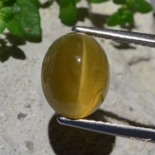 3.87ct 자연스러운 흙빛 노란색 캣츠아이 아파타이트, 타원형, 투명한