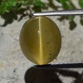 4.46캐럿 천연 골든 그린 캣츠아이 아파타이트, 타원형 컷, 투명한