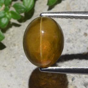 2.93캐럿 천연 골든 그린 Cat's Eye Apatite, 타원형 컷, 9.1×7.3 mm, 투명한