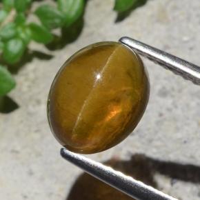2.93캐럿 천연 골든 그린 Cat's Eye Apatite, 타원형 컷, 9.1×7.3 mm, 투명한