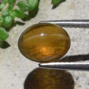 2.93캐럿 천연 골든 그린 Cat's Eye Apatite, 타원형 컷, 9.1×7.3 mm, 투명한