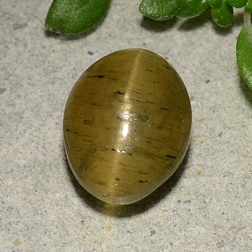 4.09ct 자연스러운 옐로우 브라운 캣츠아이 아파타이트, 타원형, 투명한