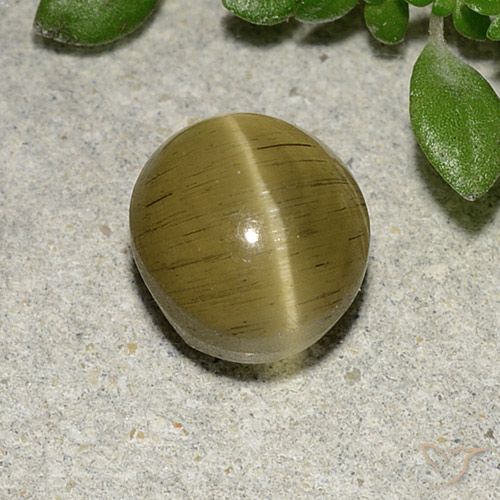 2.70ct 자연스러운 미디엄 옐로우 캣츠아이 아파타이트, 타원형, 투명한
