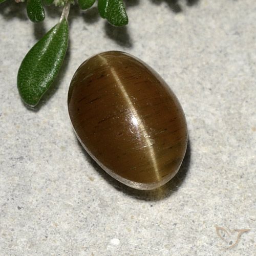 2.64캐럿 천연 웜 브라운 캣츠아이 아파타이트, 타원형 컷, 투명한