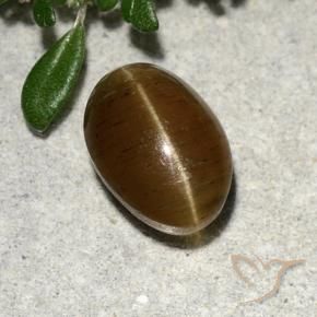 2.64캐럿 천연 웜 브라운 캣츠아이 아파타이트, 타원형 컷, 투명한