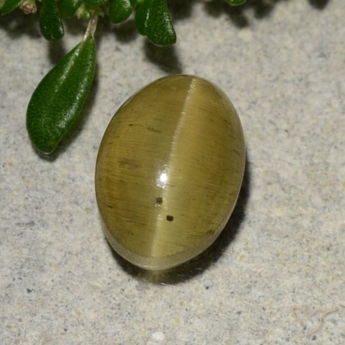 2.88ct 자연스러운 갈황색 캣츠아이 아파타이트, 타원형, 투명한