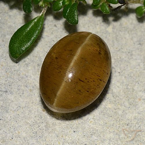 3.10ct 자연스러운 웜 브라운 캣츠아이 아파타이트, 타원형, 투명한