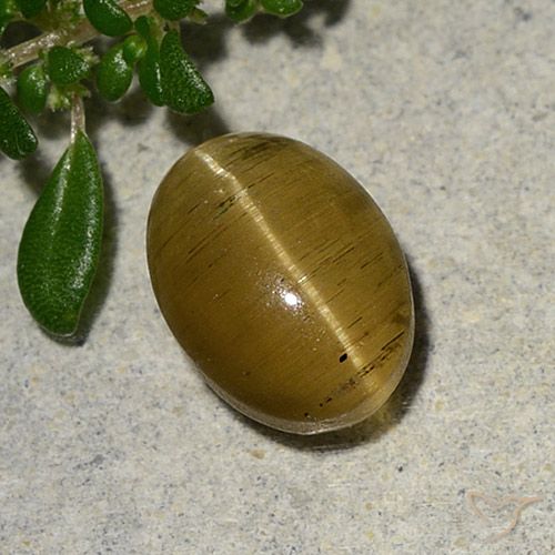 2.46ct 자연스러운 갈황색 캣츠아이 아파타이트, 타원형, 투명한