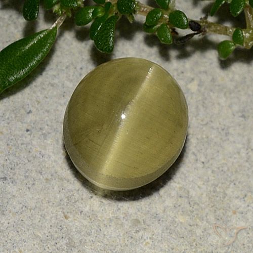 3.09ct 자연스러운 흙빛 노란색 캣츠아이 아파타이트, 타원형, 투명한