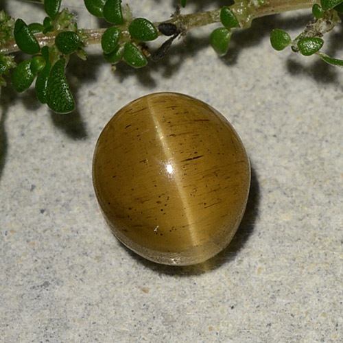 2.60캐럿 천연 갈색빛 골든 Cat's Eye Apatite, 타원형 컷, 7.7×6.9 mm, 투명한