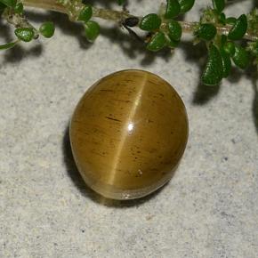 2.60캐럿 천연 갈색빛 골든 Cat's Eye Apatite, 타원형 컷, 7.7×6.9 mm, 투명한