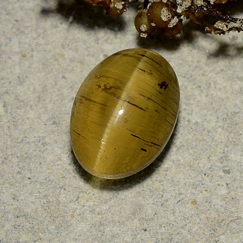 2.63ct 자연스러운 흙빛 노란색 캣츠아이 아파타이트, 타원형, 투명한