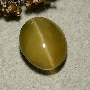 3.72캐럿 천연 골든 그린 캣츠아이 아파타이트, 타원형 컷, 투명한