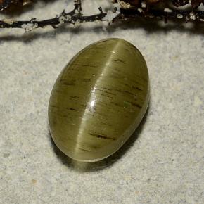 3.32캐럿 천연 옐로우 그린 Cat's Eye Apatite, 타원형 컷, 10×7 mm, 투명한