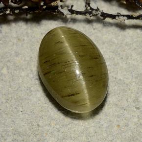3.32캐럿 천연 옐로우 그린 Cat's Eye Apatite, 타원형 컷, 10×7 mm, 투명한