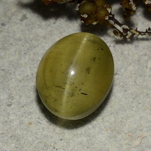 3.68ct 자연스러운 뉴트럴 옐로우 캣츠아이 아파타이트, 타원형, 투명한