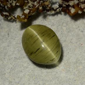 2.65캐럿 천연 흙빛 녹색 캣츠아이 아파타이트, 타원형 컷, 투명한