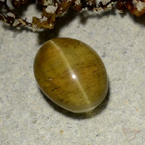 2.50ct 자연스러운 옐로우 브라운 캣츠아이 아파타이트, 타원형, 투명한