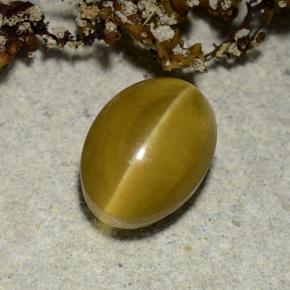 2.40캐럿 천연 골든 캣츠아이 아파타이트, 타원형 컷, 투명한