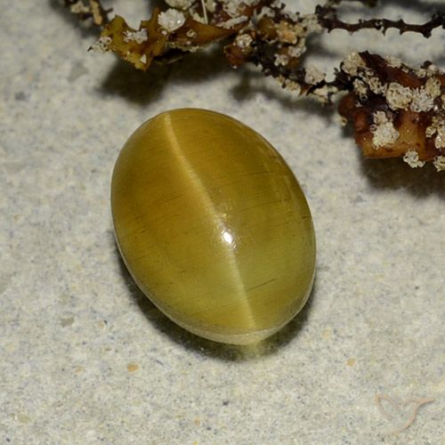 2.68캐럿 천연 흙빛 노란색 Cat's Eye Apatite, 타원형 컷, 9.1×6.7 mm, 투명한