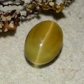 2.68캐럿 천연 흙빛 노란색 Cat's Eye Apatite, 타원형 컷, 9.1×6.7 mm, 투명한